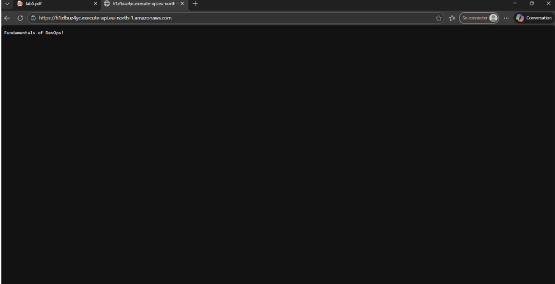 Capture d'écran du workflow GitHub Actions réussi.